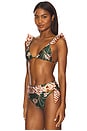 view 2 of 4 Botanic Retro Bikini Top in Dark Green