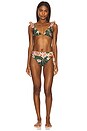 view 4 of 4 Botanic Retro Bikini Top in Dark Green