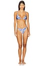 view 4 of 4 Amaryllis String Bikini Bottom in Blue