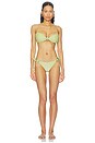 view 5 of 5 Petal Bikini Bottom in Green