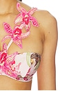 view 5 of 5 TOP BIKINI ORCHID BLOOM in Rose