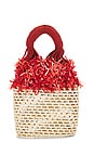 view 1 of 4 X Nannacay Lis Bag in Natural & Terracotta