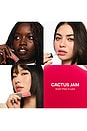 view 6 of 9 CAKE THEORY LIP TONE EQUALIZING OIL 립글로즈 in Cactus Jam