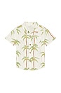 view 1 of 2 CHEMISE JACK in Cream Palm Tree