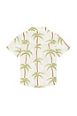 view 2 of 2 CHEMISE JACK in Cream Palm Tree
