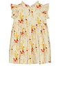 view 2 of 4 Girls Jennifer Dress in Yellow Chicks