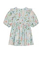 view 2 of 4 Girls Brooke Dress in Botanical Bunnies