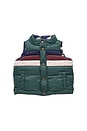 view 1 of 5 Reversible Ellis Vest in Evergreen Stripe