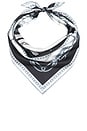 view 2 of 3 PAÑUELO THE SHIFT SCARF in Black & White
