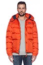 view 2 of 4 Bowerbridge Insulated Jacket in Orange