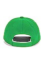 view 3 of 4 CASQUETTE DEFINITION in Andean Toucan