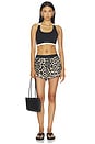 view 5 of 6 Linear Short in Leopard & Black