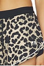 view 6 of 6 Linear Short in Leopard & Black