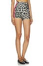 view 1 of 6 Highgate 3 Inch Bike Short in Leopard & Diva Pink