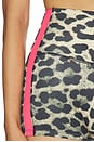 view 6 of 6 Highgate 3 Inch Bike Short in Leopard & Diva Pink