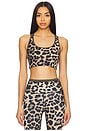 view 1 of 4 Stellar Sports Bra in Leopard Print