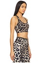 view 2 of 4 Stellar Sports Bra in Leopard Print