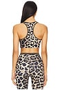 view 3 of 4 Stellar Sports Bra in Leopard Print