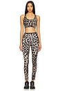 view 4 of 4 Stellar Sports Bra in Leopard Print