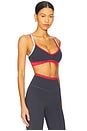 view 2 of 4 Paramount Sports Bra in Marine Blue & Strawberry Red
