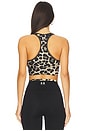 view 3 of 4 SOUTIEN-GORGE DE SPORT VITA in Leopard Print & Smokestone