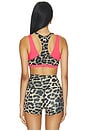 view 3 of 4 Unity Sports Bra in Leopard & Diva Pink