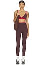 view 4 of 4 Activate Sports Bra in Mahogany & Diva Pink