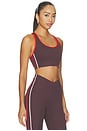 view 1 of 4 Stellar Sports Bra in Dark Plum & Strawberry