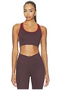 view 2 of 4 Stellar Sports Bra in Dark Plum & Strawberry