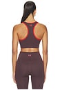 view 4 of 4 Stellar Sports Bra in Dark Plum & Strawberry