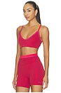 view 2 of 4 Spectrum Sports Bra in Cherry & Strawberry