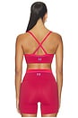 view 4 of 4 Spectrum Sports Bra in Cherry & Strawberry