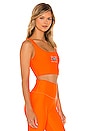 view 2 of 4 Grand Stand Sports Bra in Shocking Orange