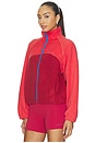 view 3 of 6 Alumni Jacket in Strawberry & Cherry
