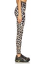 view 3 of 6 Vita Full Length Legging in Leopard Print