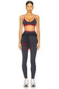 view 5 of 6 Vita Full Length Legging in Marine Blue & Strawberry Red