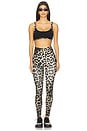 view 5 of 6 Wander Full Length Legging in Leopard Print & Smokestone