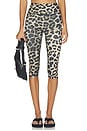 view 1 of 6 Signature Capri Legging in Leopard