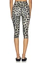 view 4 of 6 Signature Capri Legging in Leopard