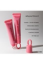 view 6 of 11 Sweet Spot Glossy Lip Stain in Brunch?
