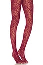 view 1 of 2 Lace Tights in Burgundy