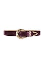view 1 of 3 Modern Rodeo Belt in Burgundy & Gold