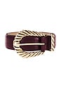 view 3 of 3 Modern Rodeo Belt in Burgundy & Gold