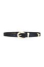 view 1 of 3 Marisa Belt in Black & Gold