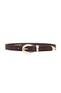 view 1 of 3 Marisa Belt in Brown Croc & Gold