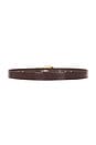 view 2 of 3 Marisa Belt in Brown Croc & Gold
