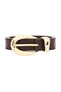 view 3 of 3 Marisa Belt in Brown Croc & Gold