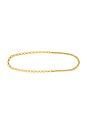 view 1 of 2 Trini Chain Belt in Gold