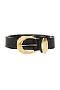 view 3 of 3 Marfa Belt in Black & Gold