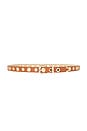 view 1 of 3 Rivet Studded Belt in Brown